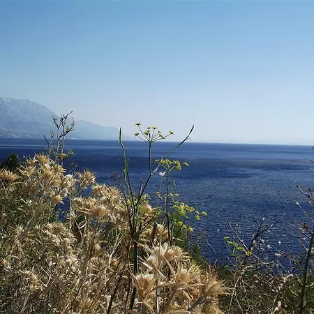 Perfect Beachfront Holiday * Marusici (Split-Dalmatia)