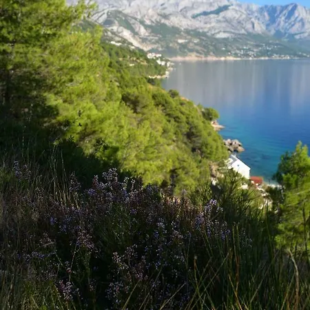 Perfect Beachfront Holiday Marusici (Split-Dalmatia)